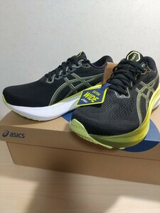 ☆新品☆ ASICS（アシックス） GEL-KAYANO 30 EXTRA WIDE （ゲルカヤノ30 エクストラワイド） 25.5ｃｍ 【送料無料】