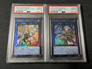 遊戯王　照耀の光霊使いライナ　清冽の水霊使いエリア　レリーフ　20thシークレット 25thシークレット　psa10 PSA10　クオシク　連番