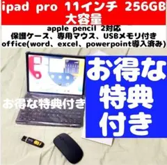 IPAD PRO 11インチ 258GB マウス、USBメモリ、キーボード