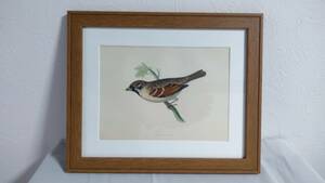 鳥の絵の額装品　スズメ (Tree Sparrow)　木版画　木製フレーム　アンティーク