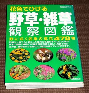 野草・雑草 観察図鑑 野に咲く四季の草花478種 オールカラー 1円～