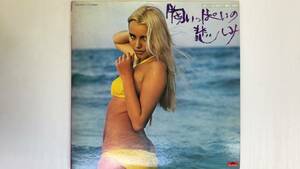 胸いっぱいの悲しみ ヒット歌謡ベスト28 POLYDOR LP盤 レコード MR-8111/2