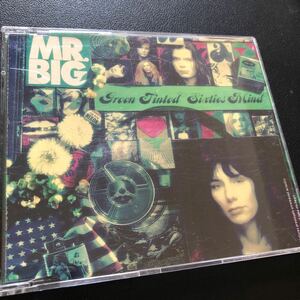 輸入盤シングル　Green Tinted Sixties Mind / MR. BIG / ポール・ギルバート　エリック・マーティン / 60