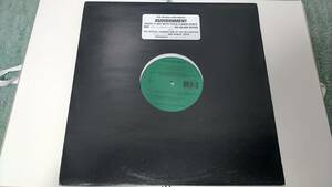 中古レコード 12インチ Xgovernment - Heat 1999 アングラ レア盤