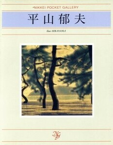 平山郁夫 日経ポケット・ギャラリー／平山郁夫【著】