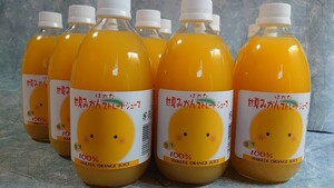 ２ケース購入で5％お得！愛媛県産果汁１００％甘夏みかんストレートジュース500㎜×24本入り
