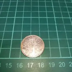 コイン　硬貨