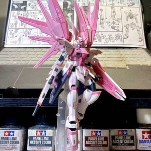 【XDモデル】1/144 HG フリーダムガンダム サクラVER. SEED 新品未組立 プラモデル