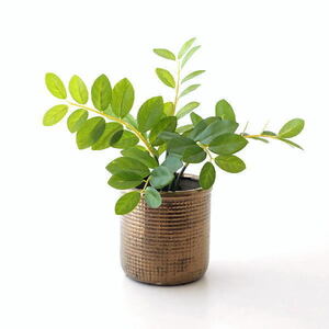 鉢 プランター 陶器 植木鉢 おしゃれ モダン フラワーポット ファインラティスリムポット