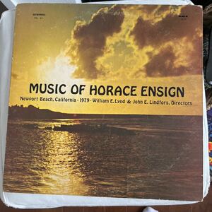 1979年作品ニューポートビーチ・カリフォルニア・ミュージック・オブ・ホライス・インスィング　ヴィンテージレコード盤　アンビエント
