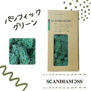 スカンディアモス SCANDIAMOSS パシフィックグリーン50ｇ ディスプレイ 苔 モス 緑色 天然素材 脱臭効果