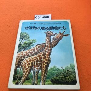 C04-060 いたずらはかせ の かがくの本 9 せぼねのある動物たち 裏表紙、接着剤的な付着物有り