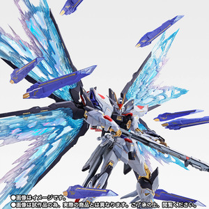 METAL BUILD ストライクフリーダムガンダム 光の翼オプションセット SOUL BLUE Ver.