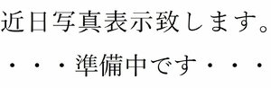 c1【東京定#241キ050906-39】新ダイワ ガイドバー 400m/m 95TXレ68E X124-000542　定価13500円＋税