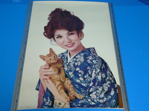 【◆】【八代亜紀】猫【GANGA】Ａ1 ポスター【当時物未使用品