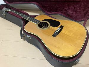 Aria W30D 111554 アコースティックギター 弦楽器 楽器 ハードケース付 