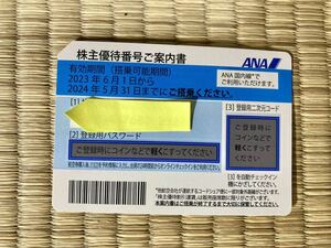 番号のみ　ANA 全日空　株主優待券　2024/05/31まで