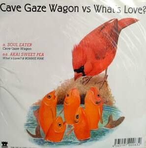 7inch 松田聖子 赤いスイトピーの極上のカヴァー REGGAE ★ CAVE GAZE WAGON VS WHAT