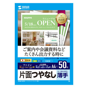 【5個セット】 サンワサプライ インクジェットファイン用紙 JP-EM2NA4N2X5