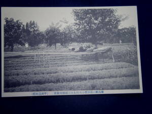 新潟県産業遺産　平田造林部　苗を育てる苗圃