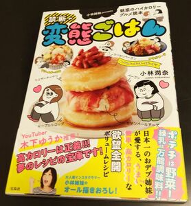 禁断の変態ごはん 魅惑のハイカロリーグルメ読本 簡単、高カロリー欲望全開ボリュームレシピ集 小林姉妹 小林潤菜/即決