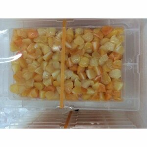 　旬の味！　千葉県産 アオヤギ 小柱 ２０p セット　