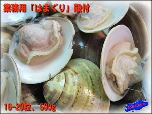 旨みのギッシリ!! 「殻付きはまぐり500g」大量、業務用