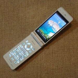 P-01J docomo 