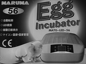 最大56個　LED　全自動孵卵器　孵卵機　ふ卵器　孵化器　インキュベーター　送料無料
