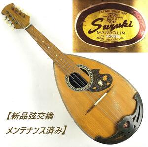 希少 レアラベル オールド マンドリン No.203 SUZUKI VIOLIN 【新品弦交換・メンテナンス済み】