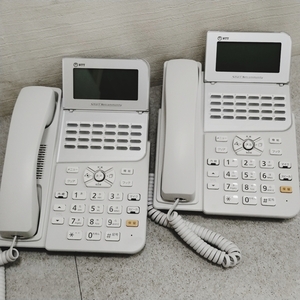 3k4100h2f 計2点 電話機 NTT スマートネットコミュニティαZX ＺＸ-「24」キー 標準スター電話機 IPTEL「１」「Ｗ」2021年製 電話機のみ