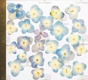 押し花 素材 ドライフラワー リーフ クラフト レジン　DR114ＤＢ　 押し花　アジサイ　濃いブルー