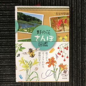 N【H8】野の花さんぽ図鑑 長谷川哲雄 築地書館 2009年発行 5刷 帯付き 野の花370余種/昆虫88種 植物画の描き方特別講座付き 植物 野草