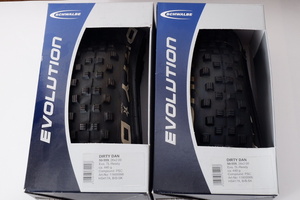 dirty dan 2本 26x2.0 TL-ready schwalbe シュワルベ ダーティダン