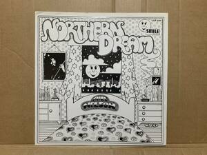 UK MONO LP Bill Nelson / Northern Dream SMILE/HOLYGROUND 1971 Folk Rock名盤　全体にキレイです。
