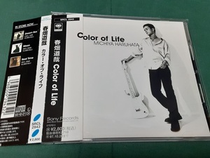 春畑道哉◆『Color of Life』ユーズドCD