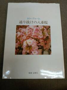 け1-e11【匿名配送・送料込】カラーアルバム 通り抜けの八重桜 1993年発刊