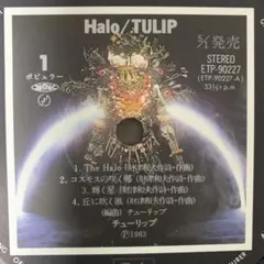 見本盤 SAMPLE TULIP LP アルバム - Halo - ＋ おまけ
