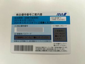 【即決あり】ANA 株主優待券 1枚　〜2024年5月31日まで〜