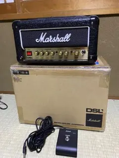 marshall DSL1 head