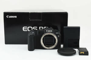 ◆付属品充実◆ CANON EOS RP ボディ キャノン ミラーレス一眼レフカメラ #2333