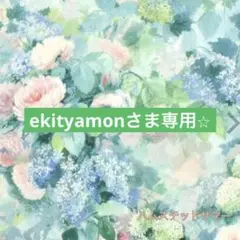 ekityamonさま専用です⭐︎