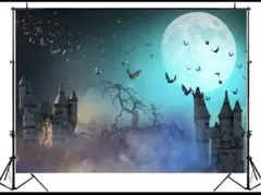 ✨ハロウィン✨ バック紙 背景紙 満月 ハロウィン パンプキン ダークナイト