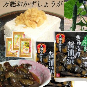 宮崎の漬物 万能おかず生姜 130g×3袋　きゅうり醤油漬 100g×2袋 朝食のお供