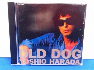 【CD】原田芳雄/OLD DOG オールド・ドッグ☆ゆうパケ可（5736）