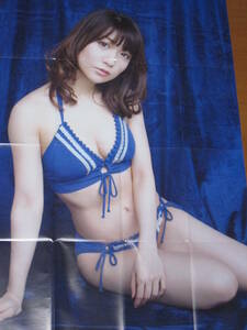 ◆即決◆　元AKB48　大島優子．元NMB48　山本彩　特大両面ポスター