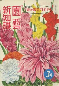 ■園芸新知識　昭和27年3月号　検：ダリア・金鯱・ポポー