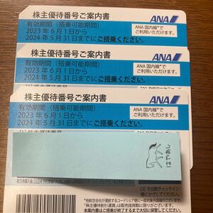 【送料無料】ANA 全日空 株主優待券　3枚セット