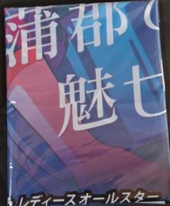 送料無料！　ボートレース蒲郡 ７回 GIIレディスオールスター　のぼり！ 競艇 