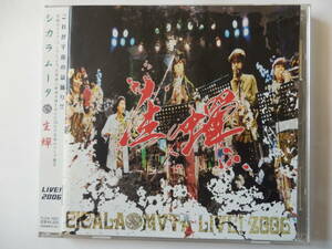 CD/Mixture- Brass/シカラムータ - Live 2006/大熊亘/Cicala Mvta:不屈の民/Stara Planina:Cicala Mvta/関島岳郎/太田惠資/桜井芳樹 他/d